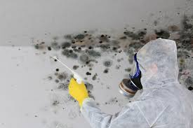 Best Commercial Mold Inspection  in Seven Fields, PA